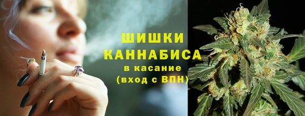 шишки Верхний Тагил