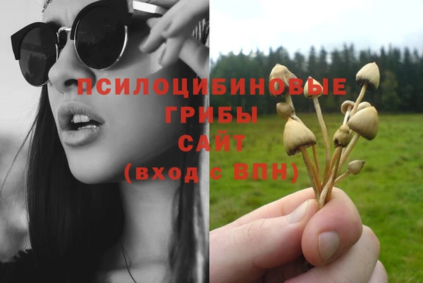 шишки Верхний Тагил