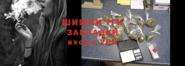 шишки Верхний Тагил