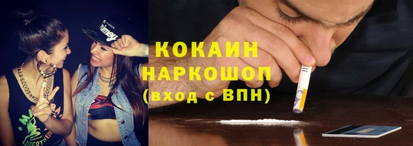 шишки Верхний Тагил