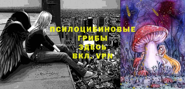 стаф Бронницы