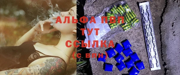 шишки Верхний Тагил