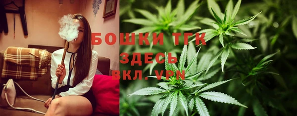 стаф Бронницы